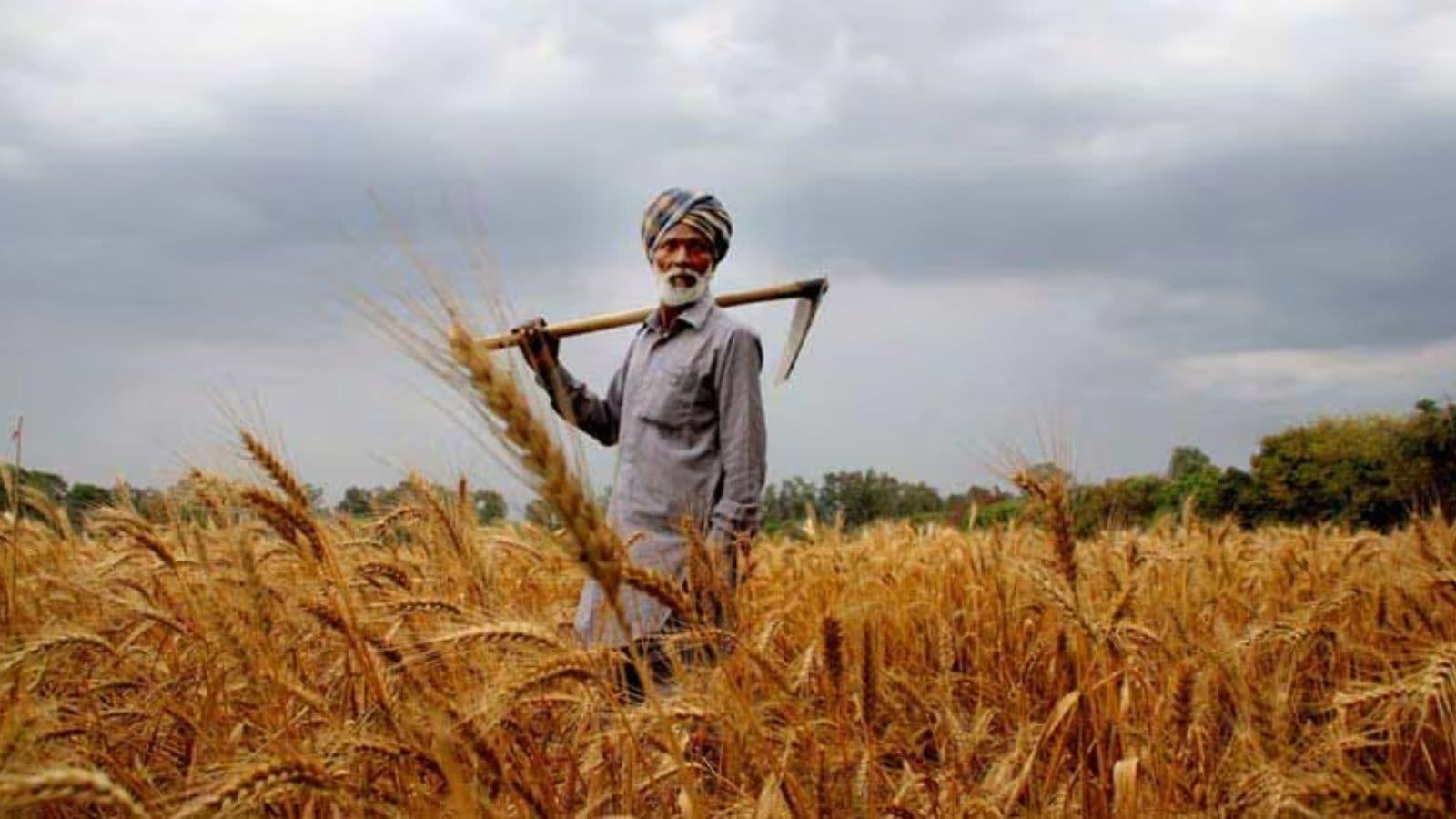 Farmers in Maharashtra face challenges amidst loan waiver debates.