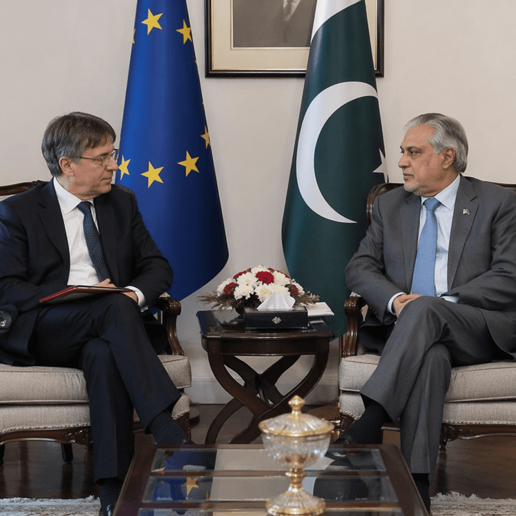 India Rejects Pakistan-EU Joint Statement on Jammu and Kashmir