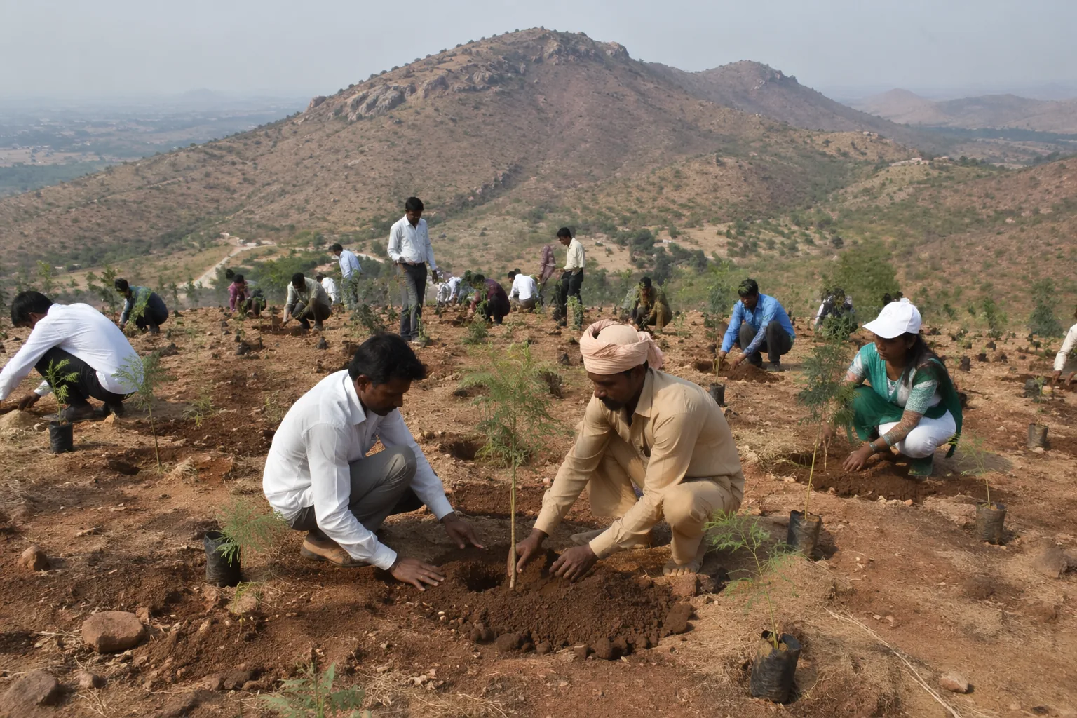 Bihar government plans green makeover for Gaya's barren hills