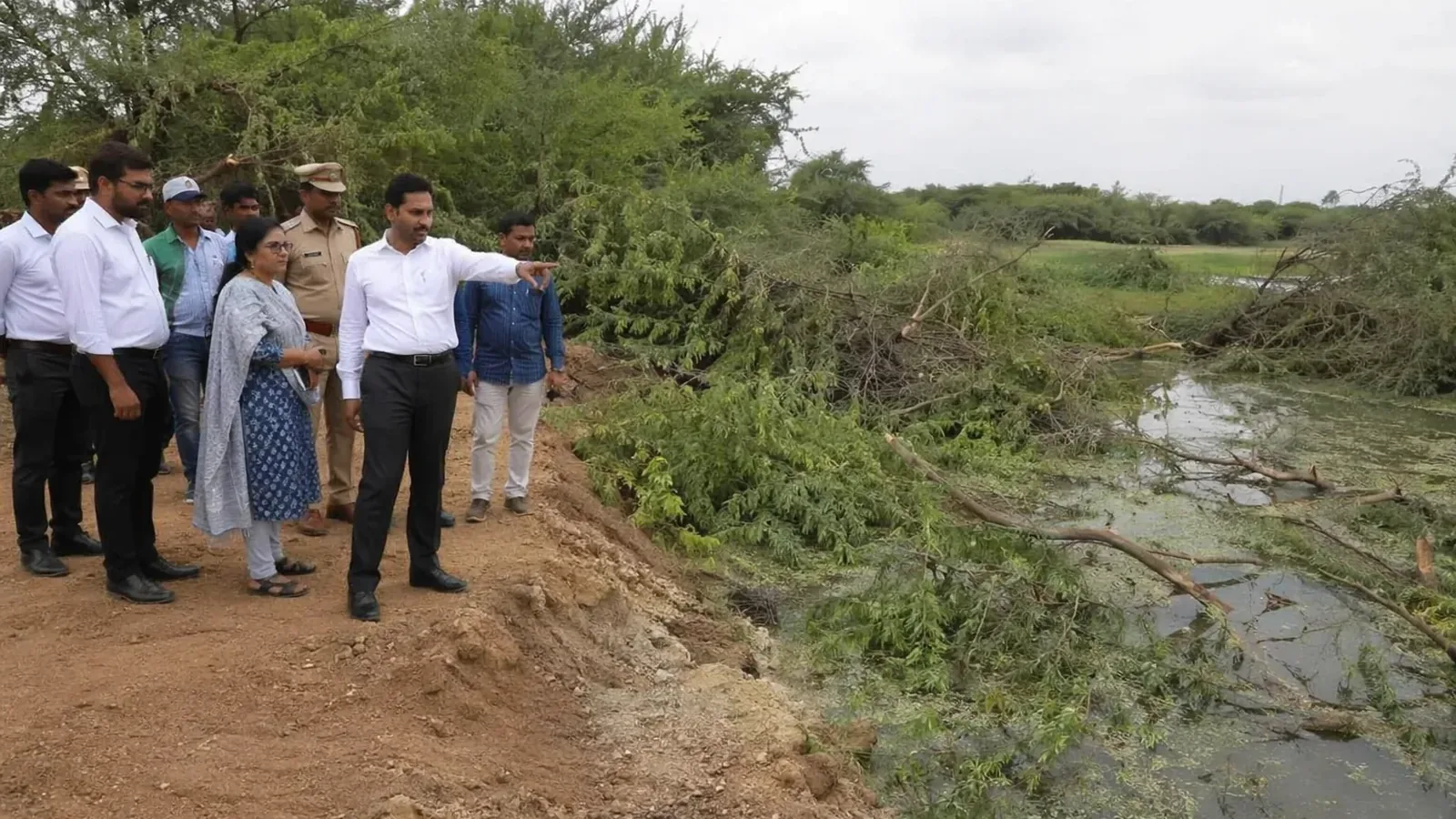 कलेक्टर ने कोडिकुलम टैंक से प्रोसोपिस पेड़ हटाने का दिया आदेश
