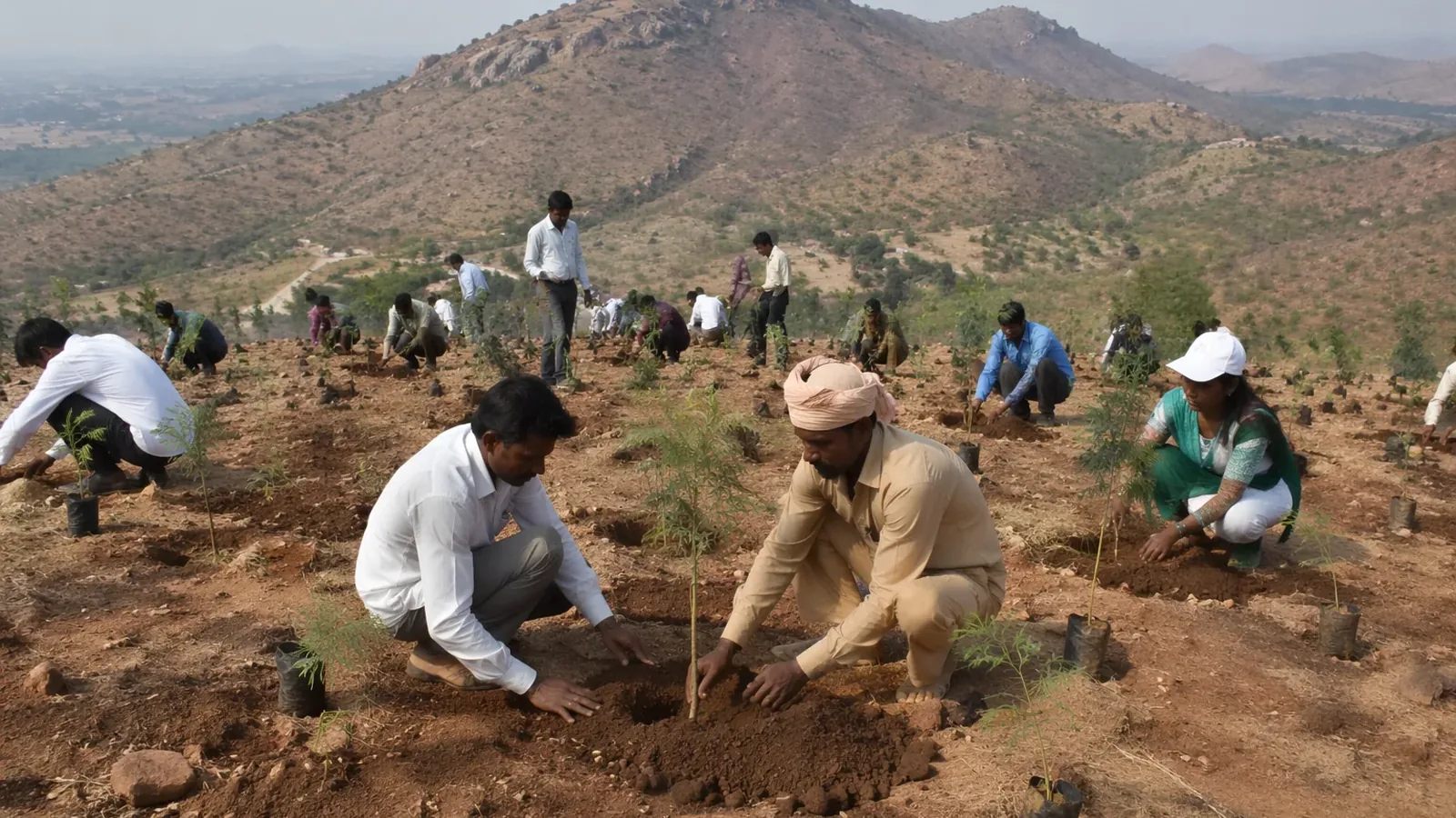Bihar government plans green makeover for Gaya's barren hills