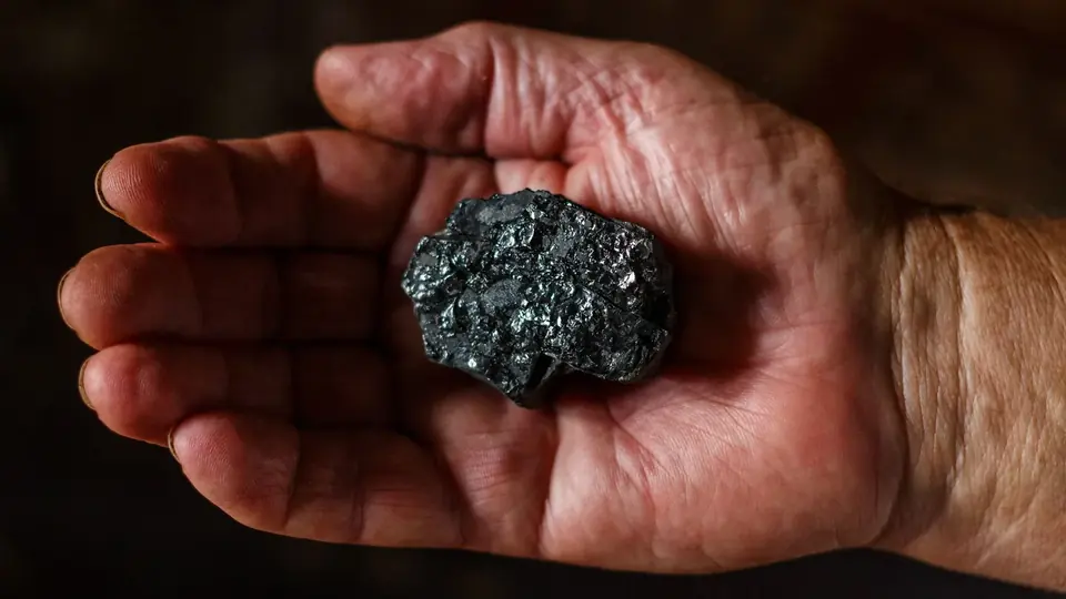 Coal scam cases: Supreme Court asks Delhi HC not to stay trials, dispose of appeals in four weeks