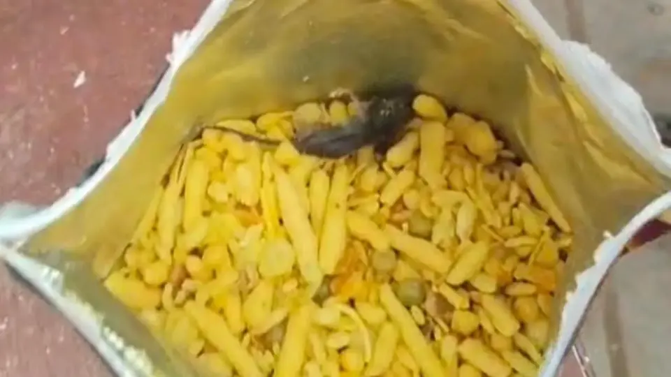 कानपुर देहात में बिकानो नमकीन के पैकेट से मरा हुआ चूहा मिला