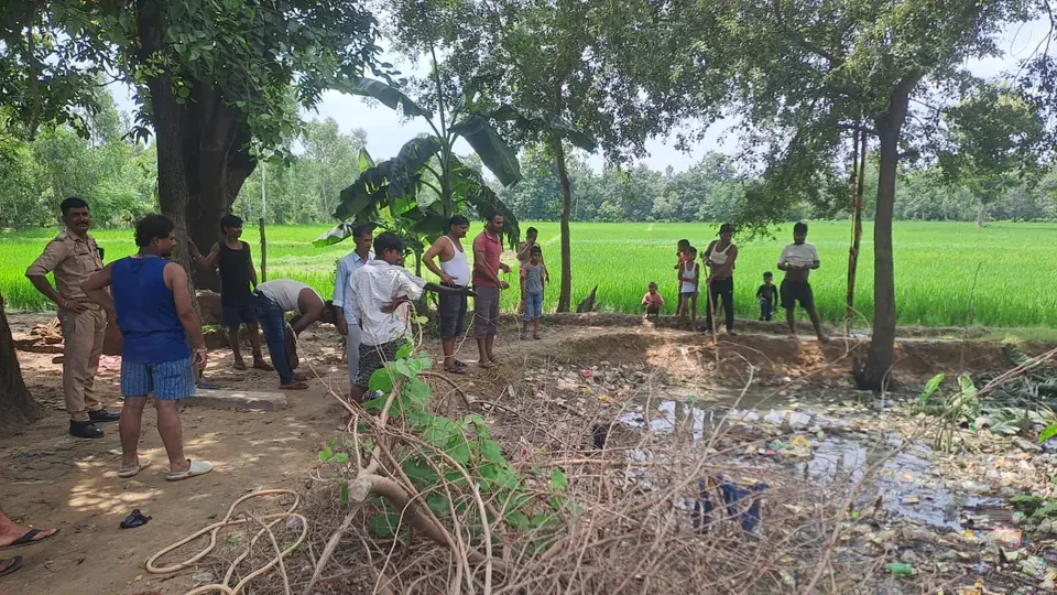 Injured nilgai dies after three days without veterinary care in UP