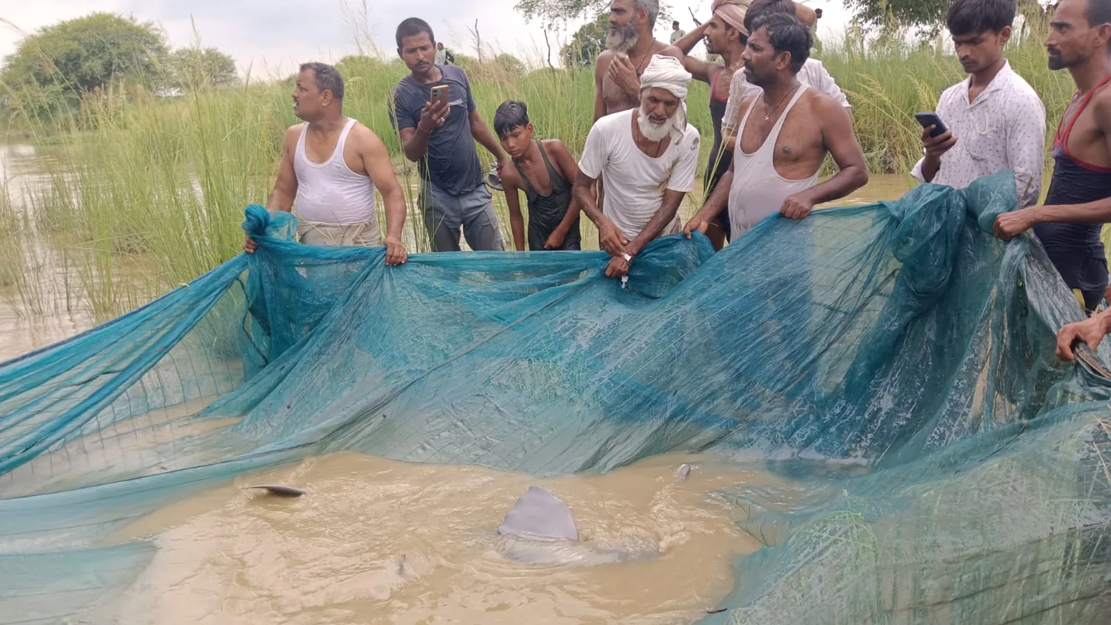 श्रावस्ती के नाले में फंसी डॉल्फिन को वन विभाग ने सुरक्षित निकाला