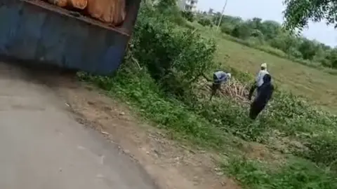 Viral video exposes illegal tree felling racket in Uttar Pradesh district