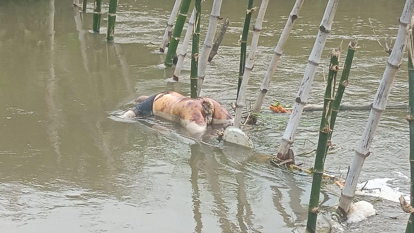 Woman's body found in Malti river dam in Amethi, identity unknown