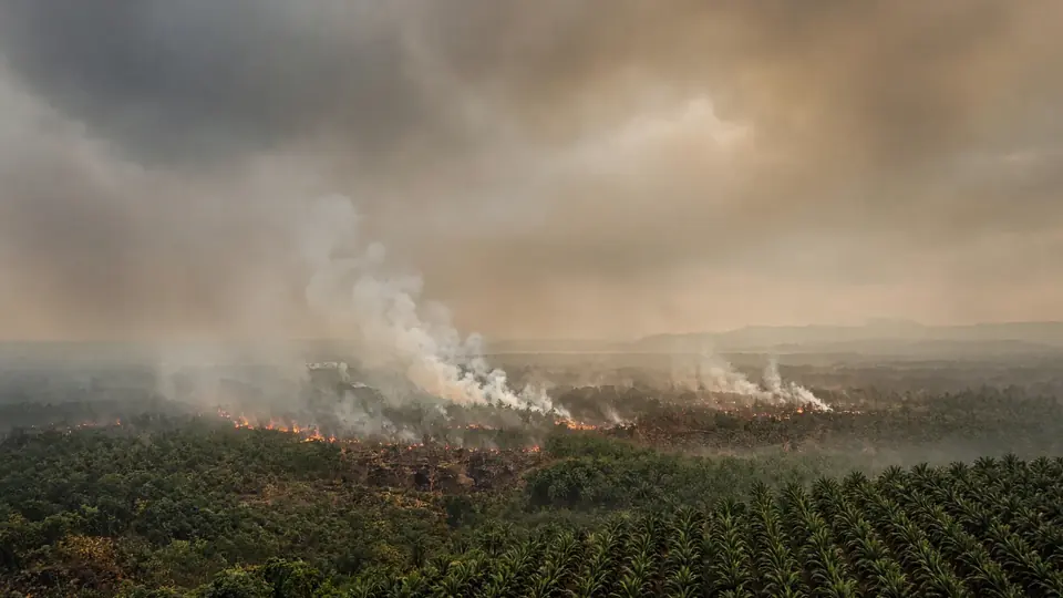 ASEAN's failed haze pledge leaves doctors treating smoke-scarred lungs in Kalimantan