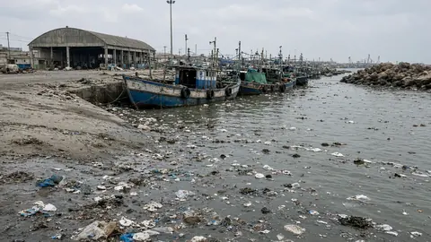 Lack of cleanliness and hygiene keep exporters away from Kasimedu fishing harbour
