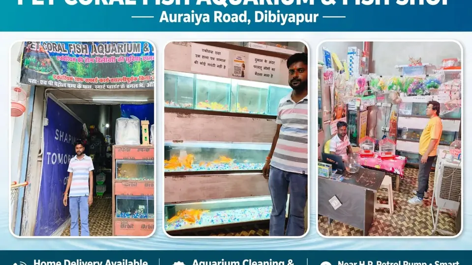New pet shop opens in Auraiya with fish accessories and home decor range