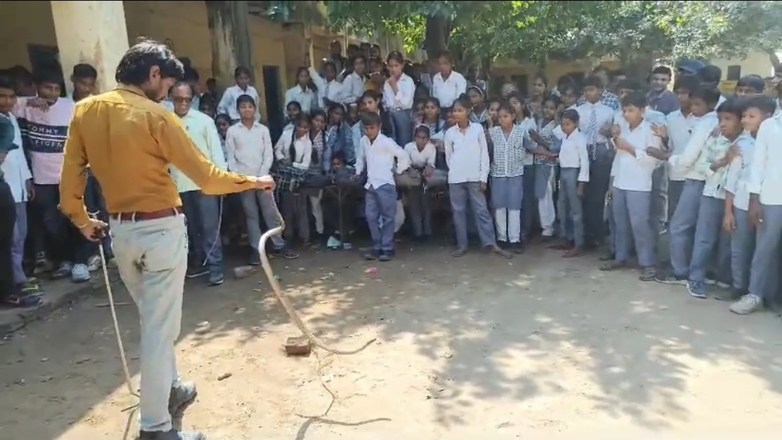Snake Spotted In Sahpau Classroom, Students Evacuated Safely