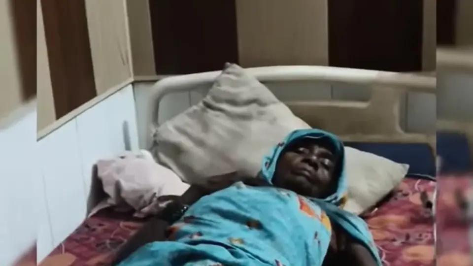 प्रतापगढ़ में महिला को घर के दरवाजे पर सांप ने काटा, बेटे ने बचाई जान