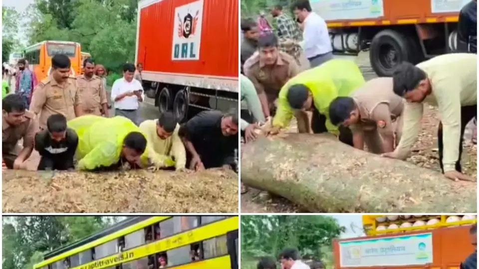 Traffic Restored In Bahraich After Police Remove Fallen Tree