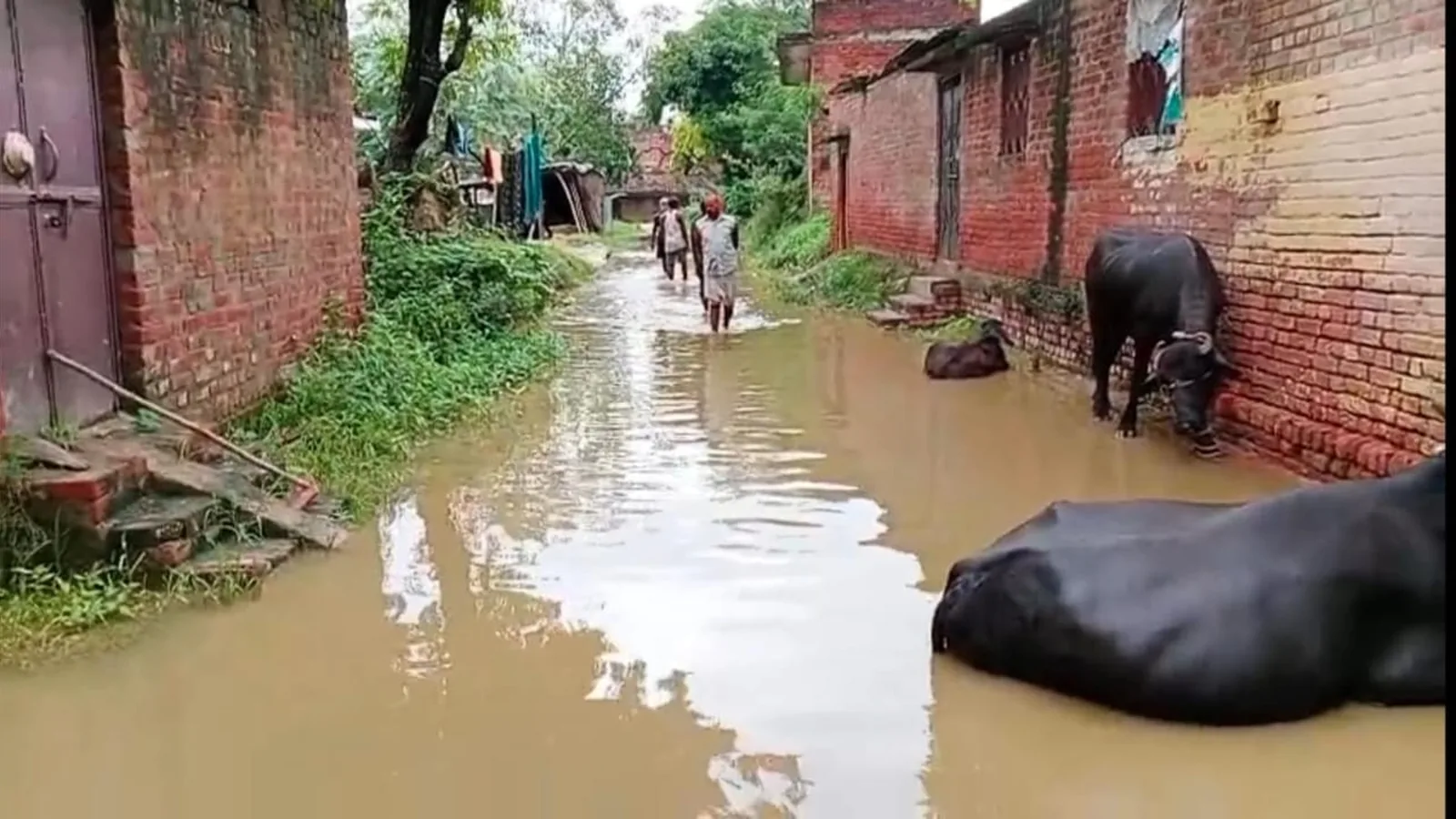 प्रतापगढ़ के कालाकांकर में 120 घर जलमग्न, नाला जाम से ग्रामीणों में त्राहि-त्राहि