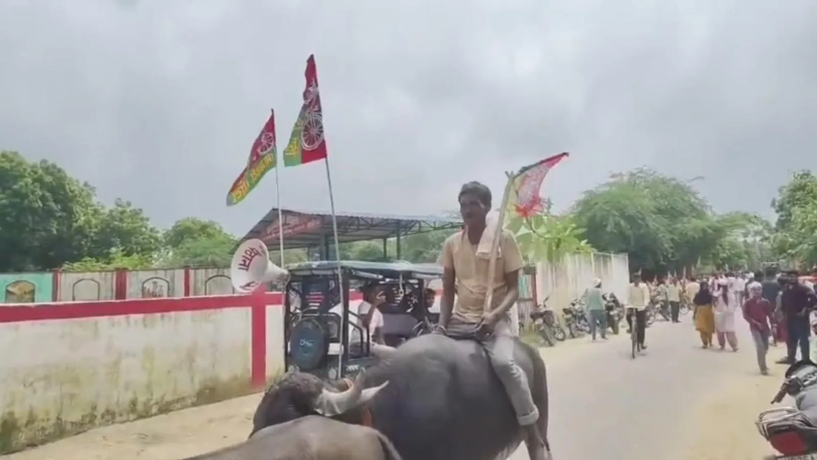 समाजवादी पार्टी की साइकिल रैली में सपाई भैंस पर सवार होकर शामिल हुए