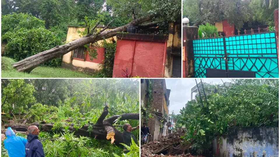 Storm, Rain Disrupt Bahraich; Fallen Trees Block Roads, Power Cut