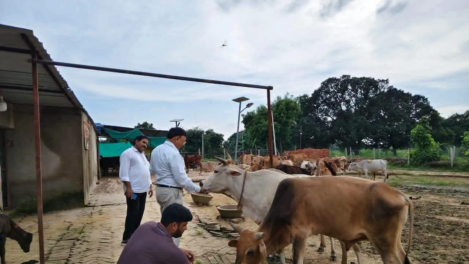 प्रतापगढ़ में बीडीओ ने पांच गो आश्रय स्थलों का औचक निरीक्षण किया