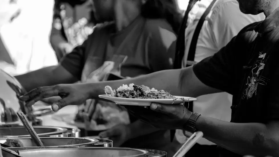 Lizard found in food served to students, cooks relieved of duty