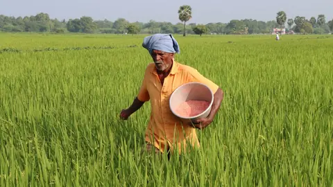 विजयनगरम में बारिश से 15 हजार एकड़ फसल को नुकसान, 1500 परिवार हटाए