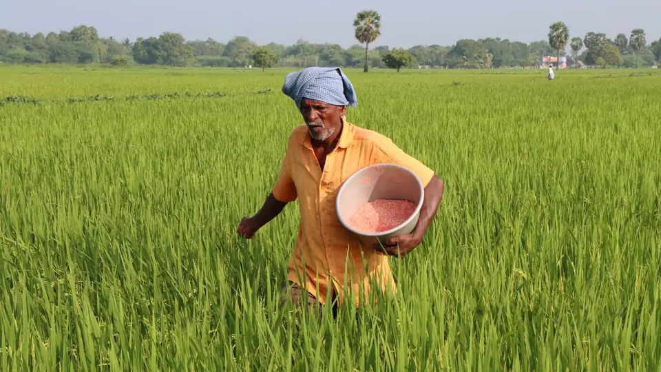 विजयनगरम में बारिश से 15 हजार एकड़ फसल को नुकसान, 1500 परिवार हटाए