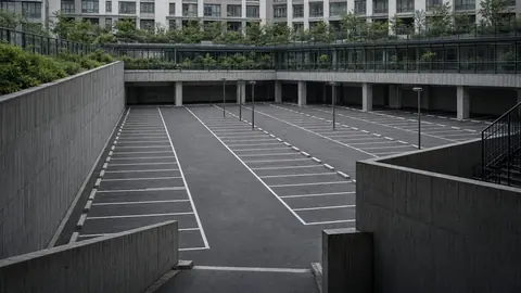 Chinese woman snaps up nearly 200 parking spaces to flip to neighbours for profit