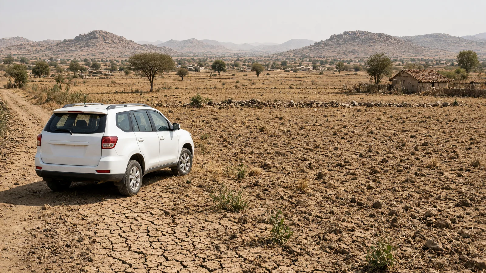 Central team inspects drought-hit villages in Yadgir and Raichur
