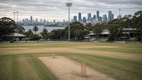 Australia Beat New Zealand By Two Wickets In Opening T20I
