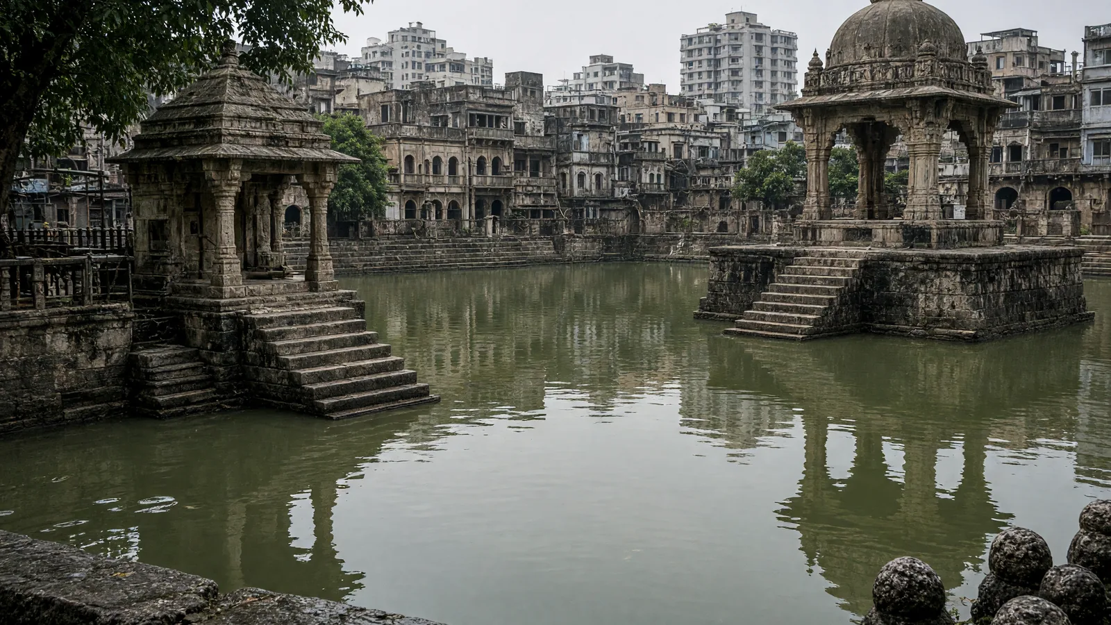 BMC calls for meeting with residents over death of fishes in Banganga tank