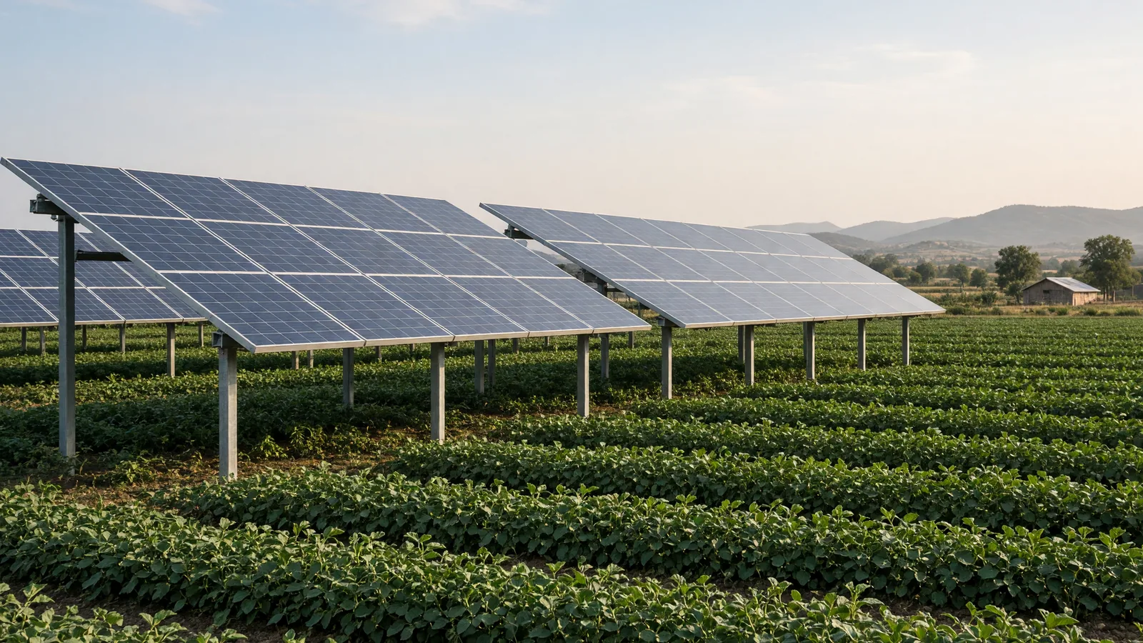 India’s agrivoltaic capacity is expected to be more than 5-gigawatts in next 3-4 years: 5 gigawatts