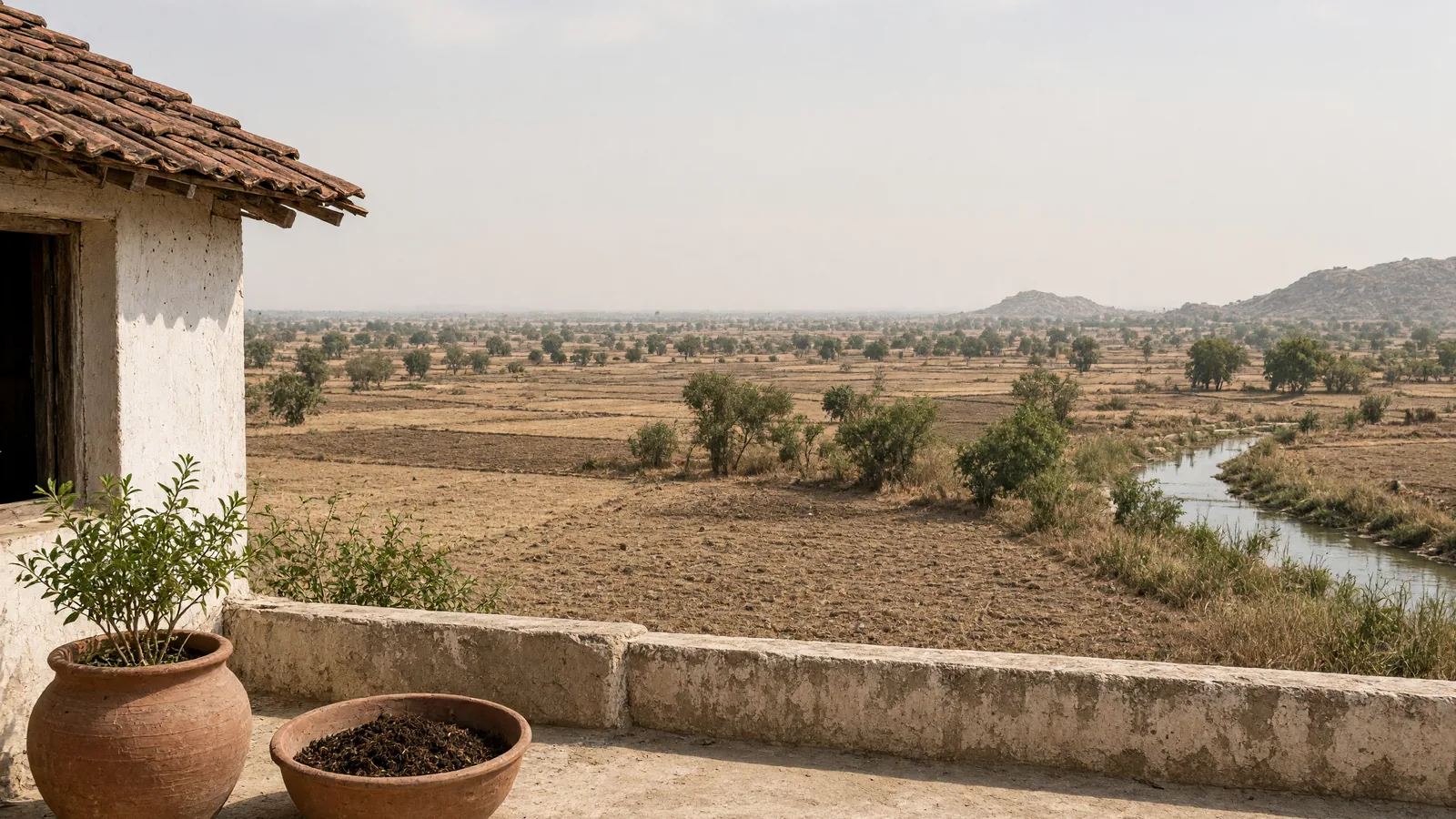 Choose short-duration crops in low-rainfall areas, Nellore agriculture officer tells farmers amid El Niño