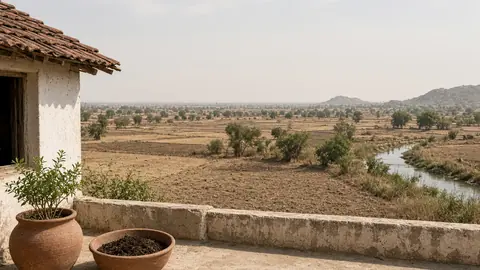Choose short-duration crops in low-rainfall areas, Nellore agriculture officer tells farmers amid El Niño