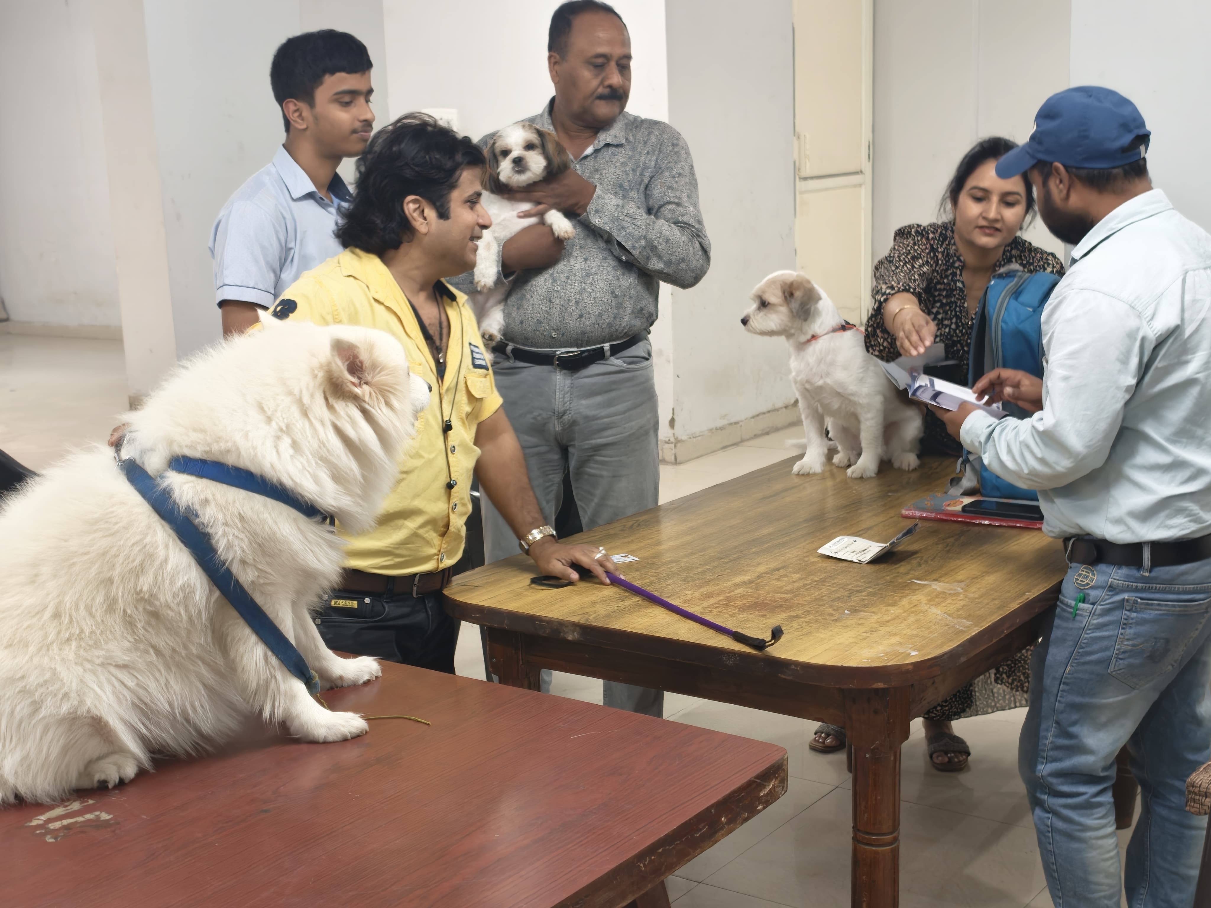 Ghaziabad Municipal Corporation pet dog registration camp at Gulmohar Enclave