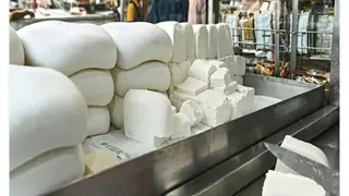 Food Safety Team Seizes 700 Kg Of “Analogue Paneer” Near Bhopal Station