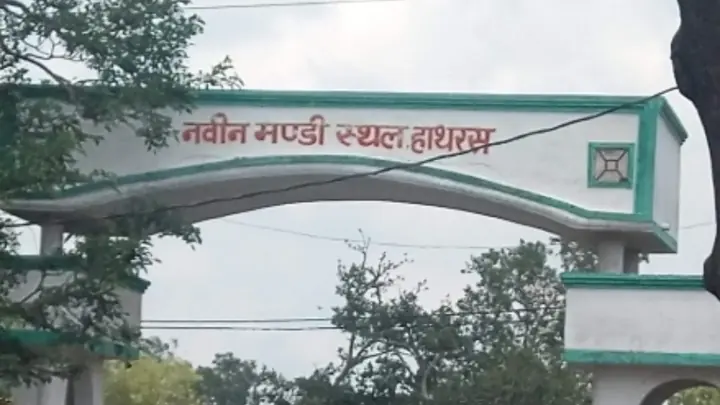 धान की बंपर आवक से भरी हाथरस मंडी, 10-11 अक्टूबर को आवक बंद