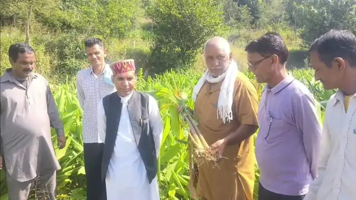 Bilaspur Farmer Starts Cultivating Black Turmeric on Two Bighas for Higher Income