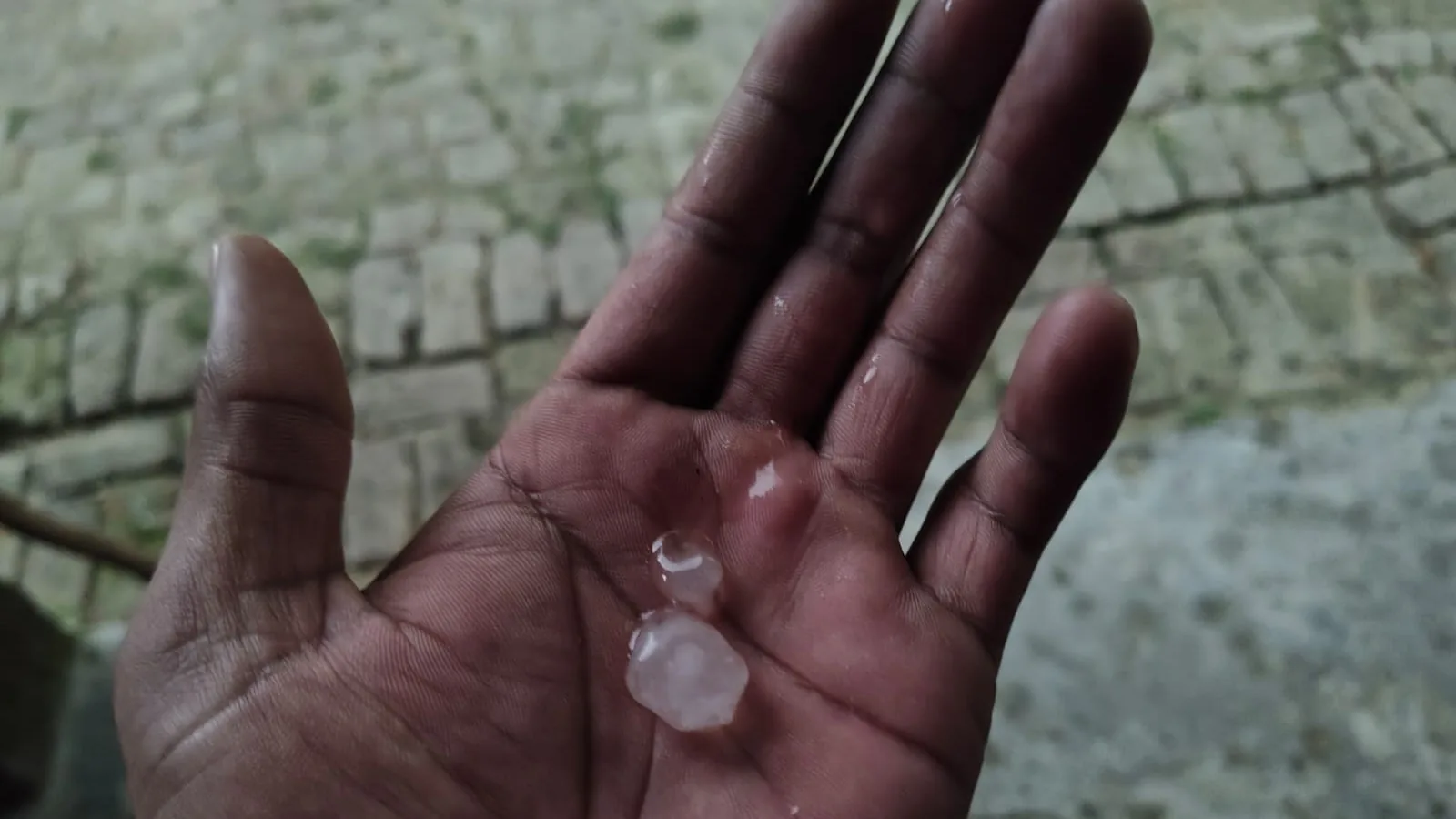 संभल में बारिश-ओलावृष्टि से धान की फसल को भारी नुकसान, किसान परेशान