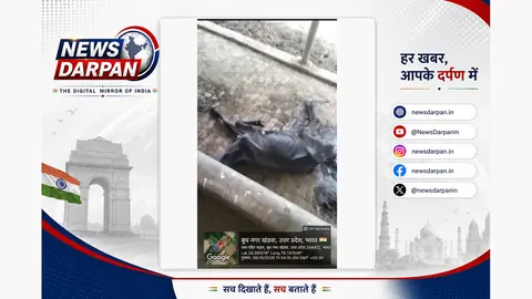 संभल की गौशाला में जलभराव, ग्रामीणों ने चारा-पानी न मिलने का आरोप लगाया