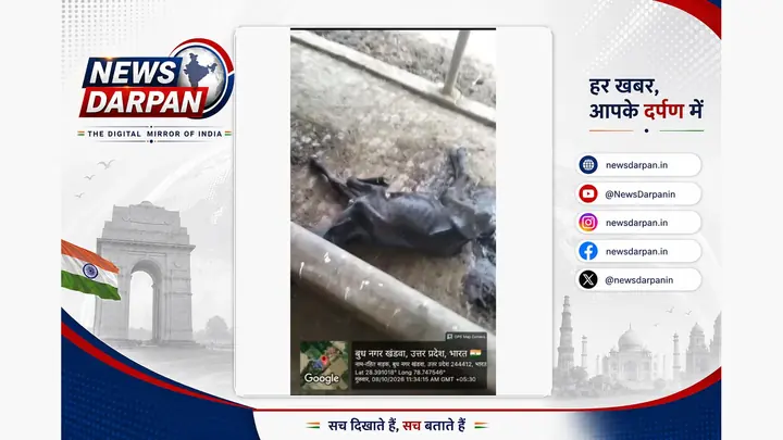 संभल की गौशाला में जलभराव, ग्रामीणों ने चारा-पानी न मिलने का आरोप लगाया
