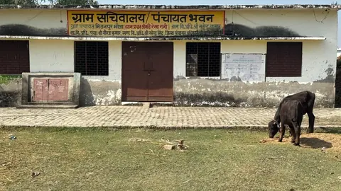 चंदौसी के मिटनपुर पंचायत भवन पर ताला, परिसर में घूम रहे मवेशी