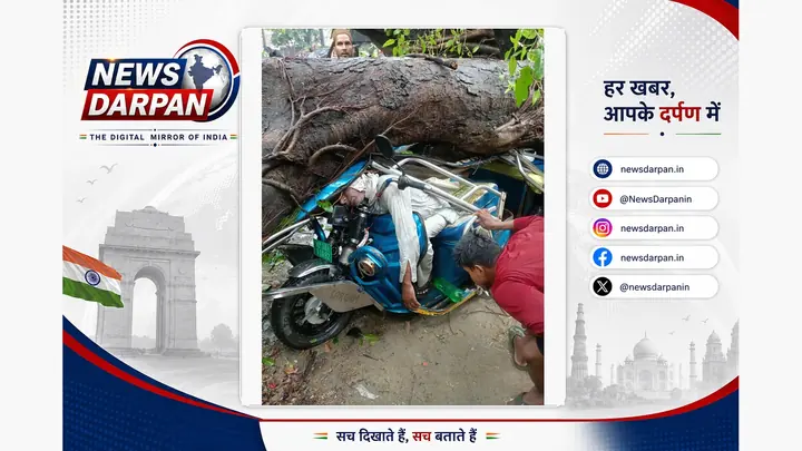Sambhal E-Rickshaw Driver Dies After Storm-Felled Tree Crushes Him