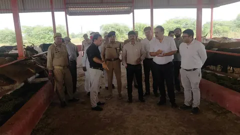 Hathras DM Inspects Gaushala Housing 300 Cattle, Stresses Proper Care