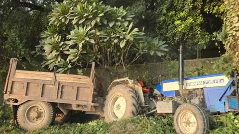 Sand-Laden Tractor-Trolley Overturns During Task Force Chase In Morena