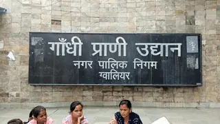 Gwalior Woman Missing 20 Days Returns, Says She Lost Her Way
