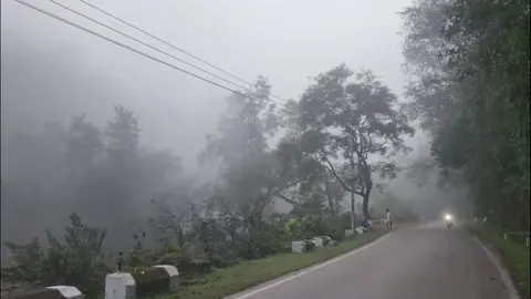 बिलासपुर में ठंड के साथ बढ़ी धुंध, घटने लगी विजिबिलिटी