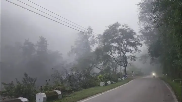 Fog blankets Bilaspur as visibility drops, drivers face difficulty amid rising chill
