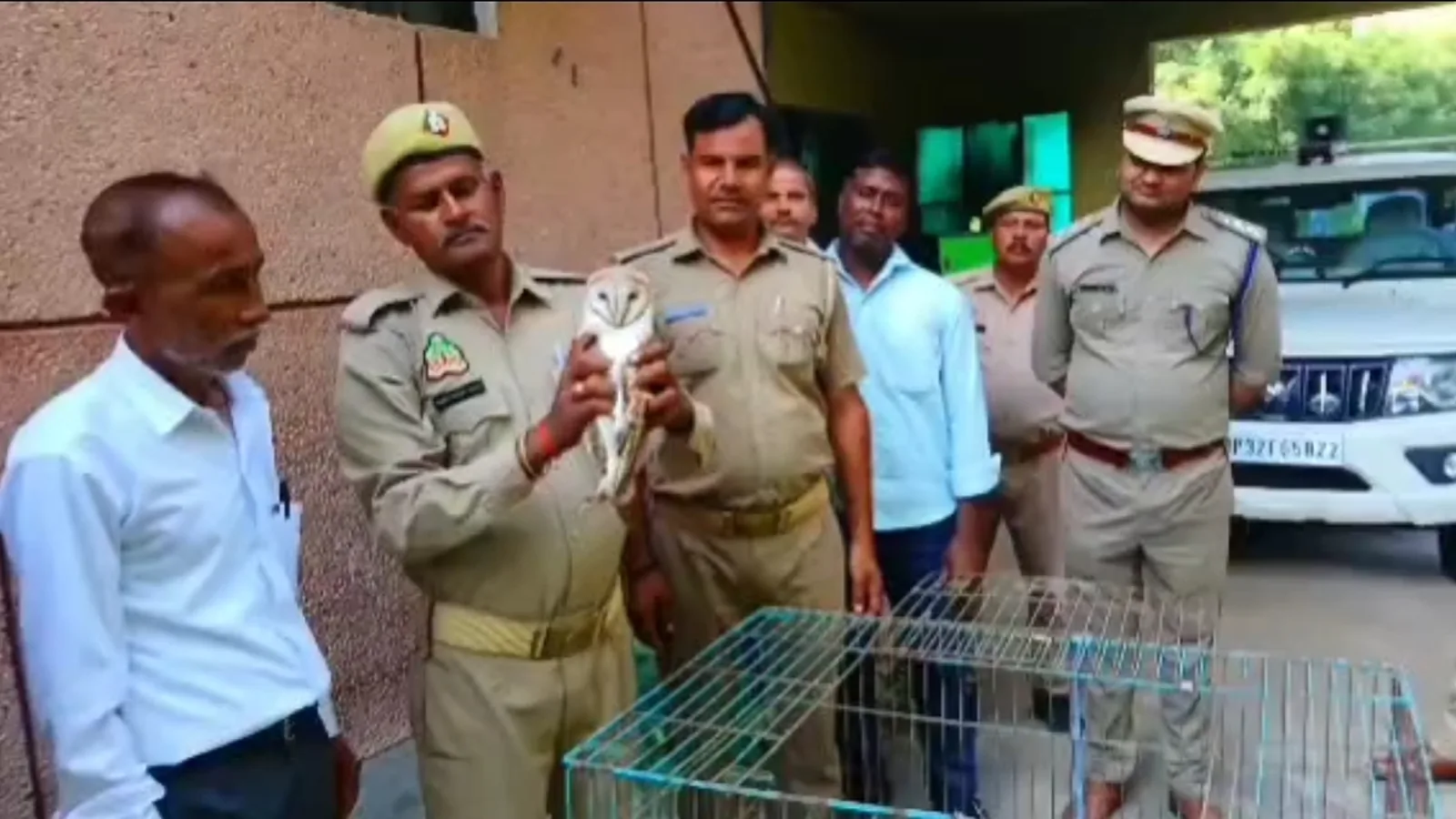 Rare Ghughu Owl Rescued After Being Found Injured In Hathras