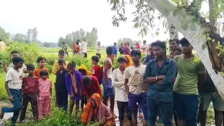 Two Buffaloes Die in Lightning Strike During Heavy Rain in Shravasti