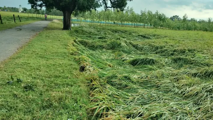 Lightning Strike Kills 31-Year-Old Man, Injures Companion In Shravasti
