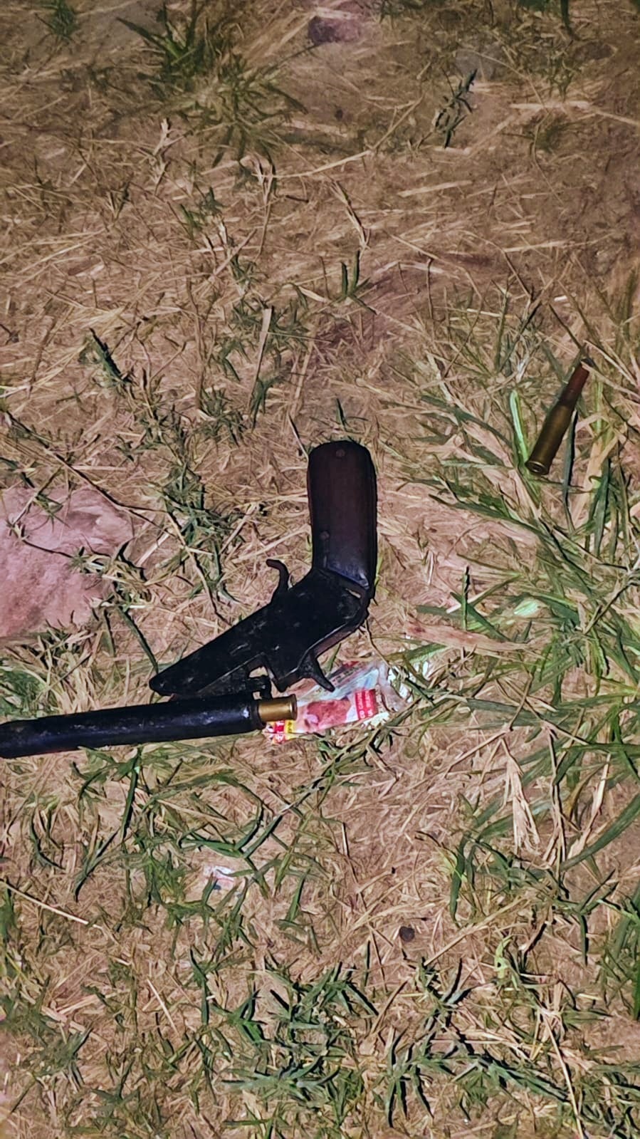 A firearm and ammunition lie on grass and soil in a supplied photograph
